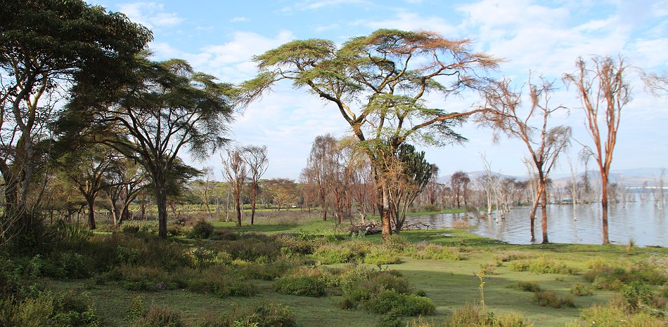 Sungura Ranch - The Folly - Lake Naivasha