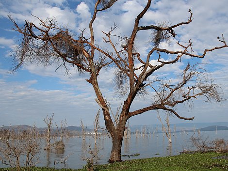 Sungura Ranch - The Folly - Lake Naivasha