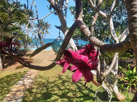 bei Freunden am Jumba Beach