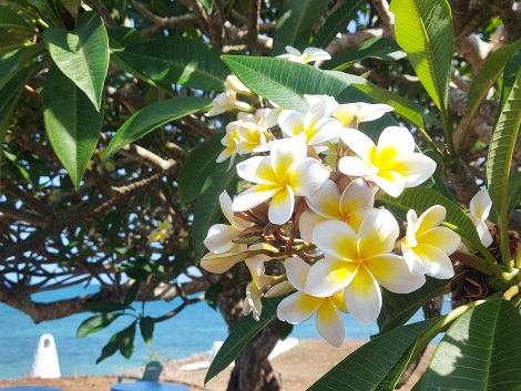 bei Freunden am Jumba Beach