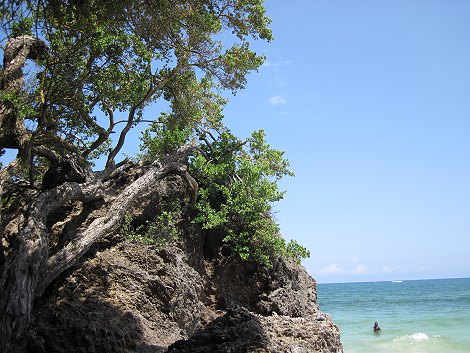 bei Freunden am Jumba Beach