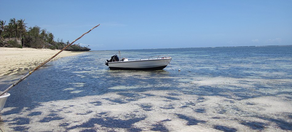 Kuruvitu Beach - Vipingo