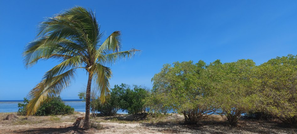 Kuruvitu Beach - Vipingo