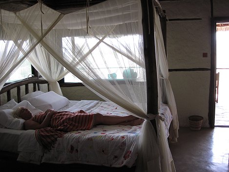 Leopard lair Cottage - Self catering - Lumo Conservancy