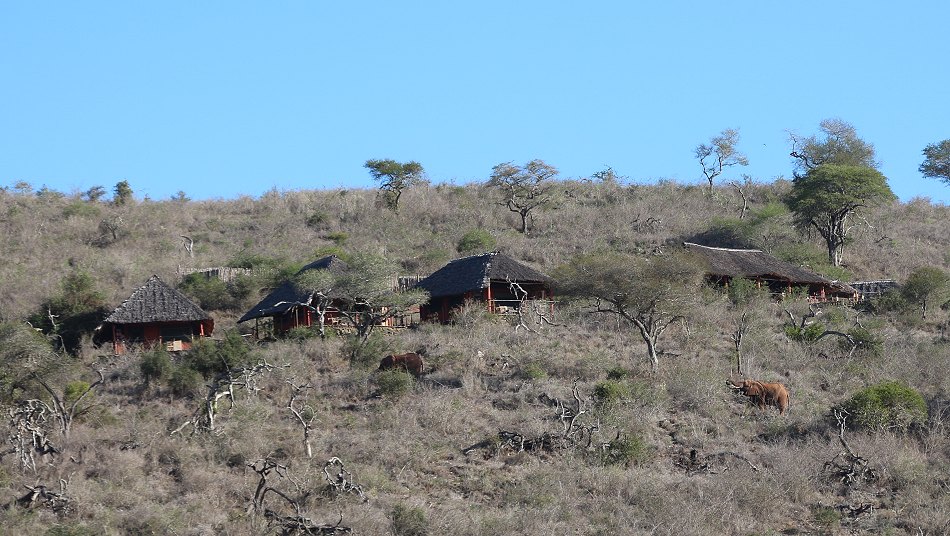 Leopard Lair Cottage - Lumo Conservancy