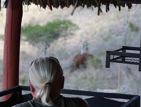 Leopard Lair Cottage - Lumo Conservancy