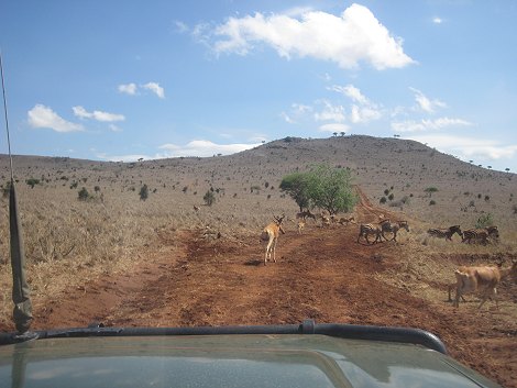 im Lumo Conservancy