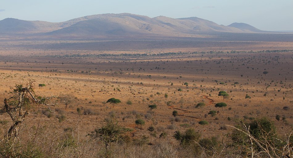 im Lumo Conservancy