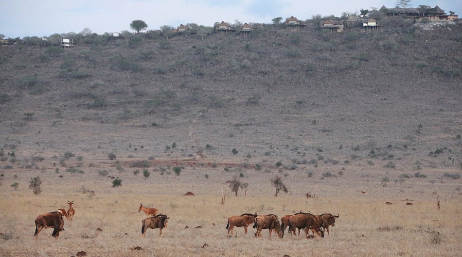 Lions Bluff Lodge im Lumo Conservancy