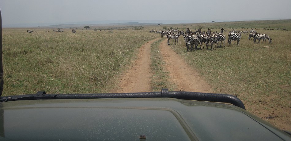 Masai Mara 2021