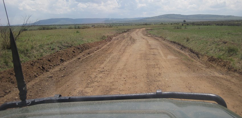 Piste in der Masai Mara
