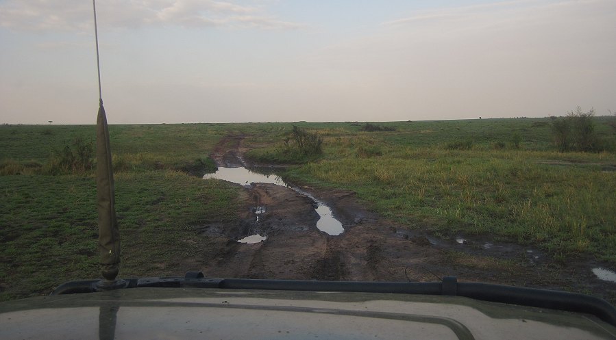 Masai Mara nach dem Regen