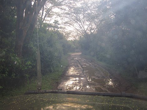Masai Mara nach heftigem Regen