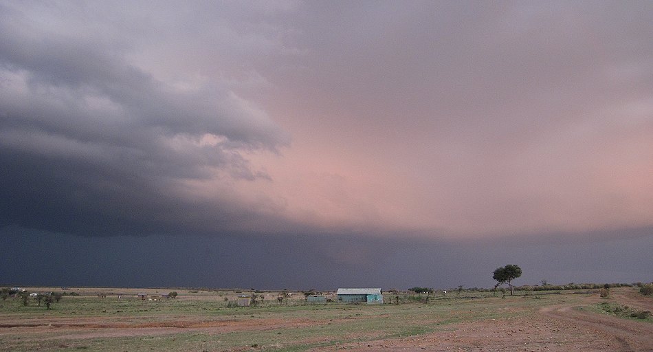 Regenwolken über der Masai Mara
