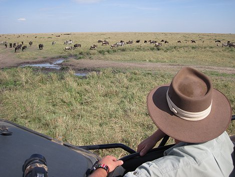 MasaiMara, Migration 2021