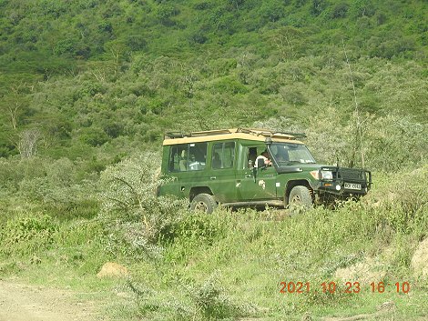 im Lake Nakuru National Park