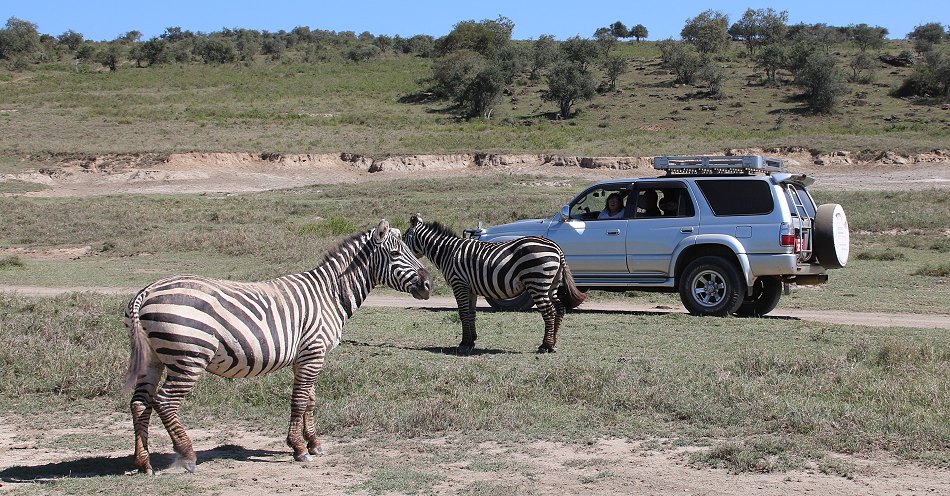 im Lake Nakuru National Park