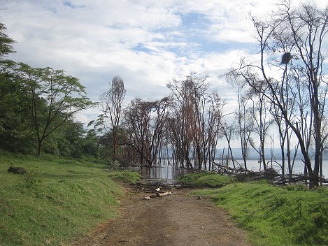 im Lake Nakuru National Park