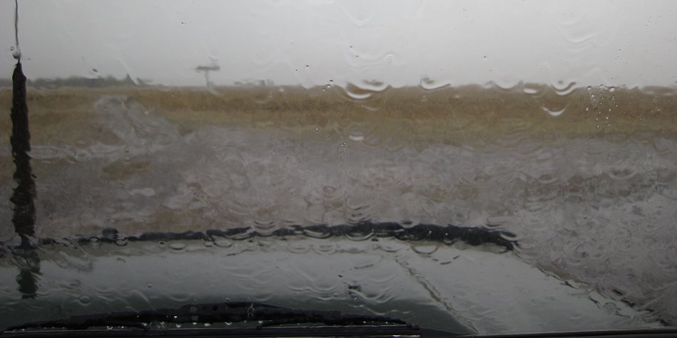 Nne Bora - Geparden im Regen