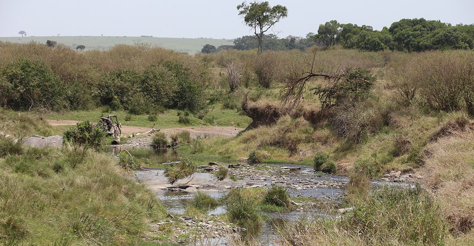 am Ol Are Orok in der Masai Mara