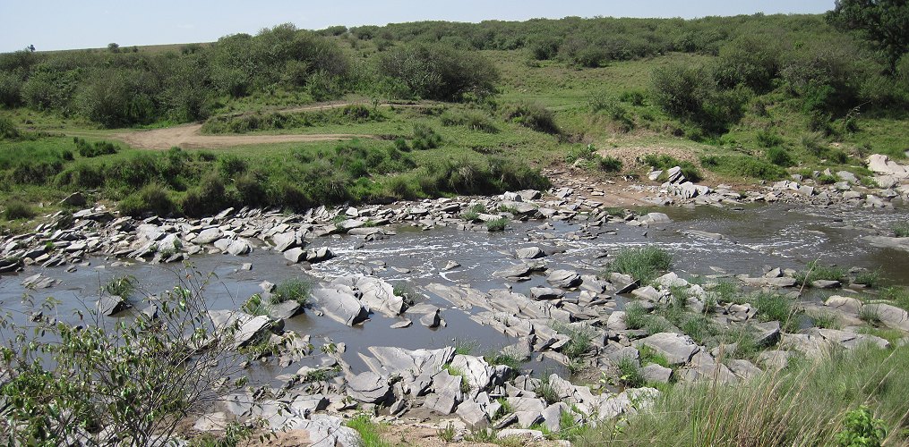 Bushfrühstück am Rekero Crossing mit Löwin