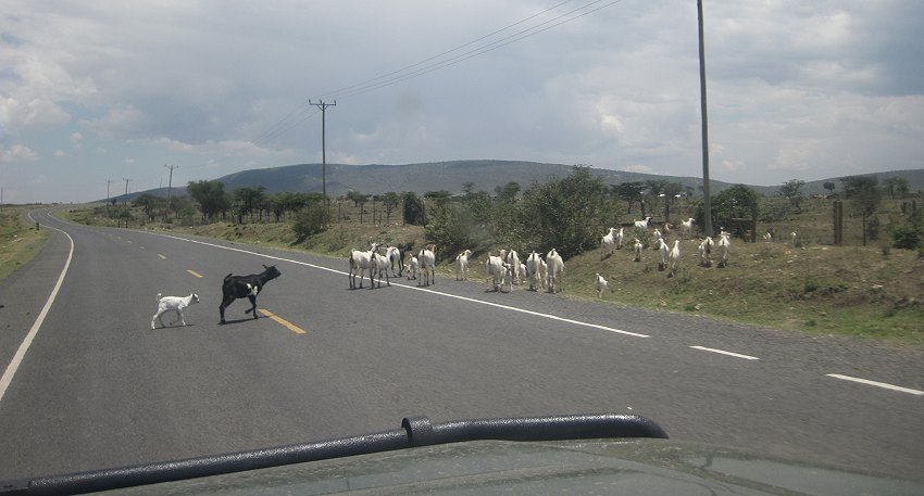 Unterwegs in Richtung Naivasha