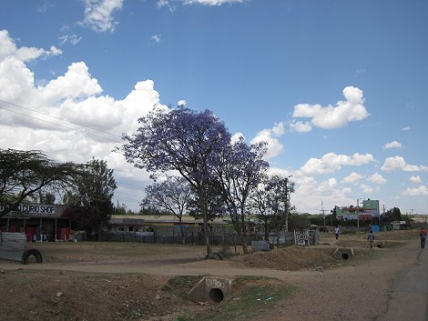 Unterwegs in Richtung Naivasha