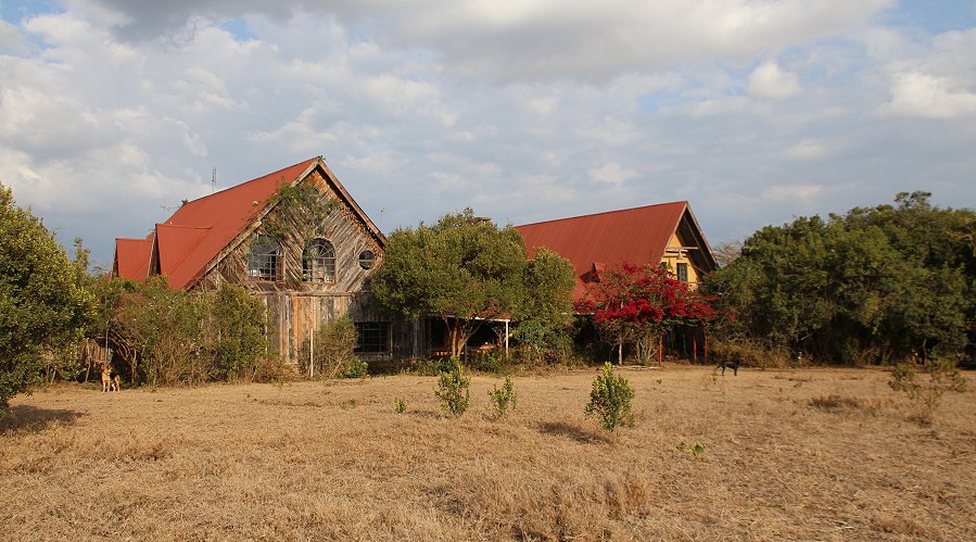 Sandai Farm - zwischen Mount Kenya und Aberdares - Kenya Hochland