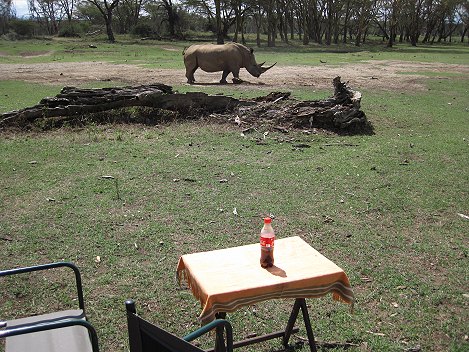 Lunch im Bush bei den Breitmaulnashörnern auf Solio