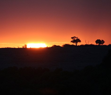 Sundowner in der Masai Mara