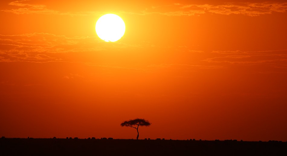 Sonnenuntergang in der Masai Mara