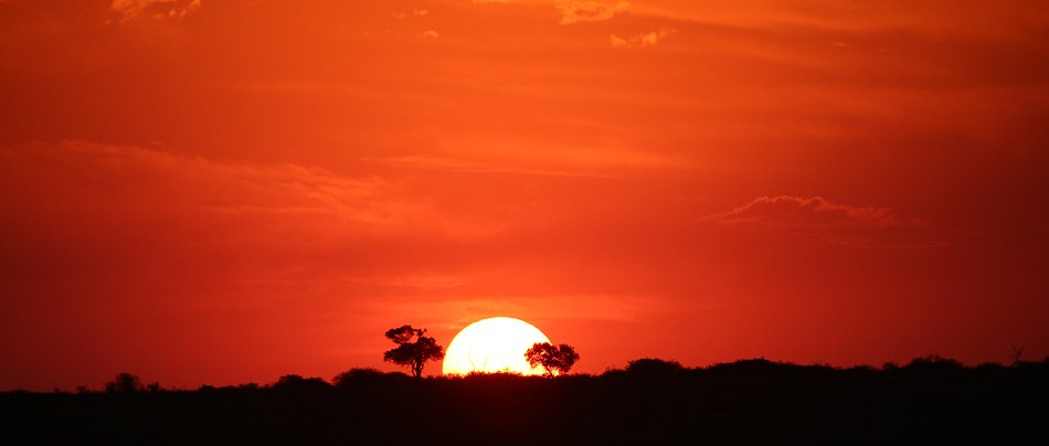 Sonnenuntergang in der Masai Mara