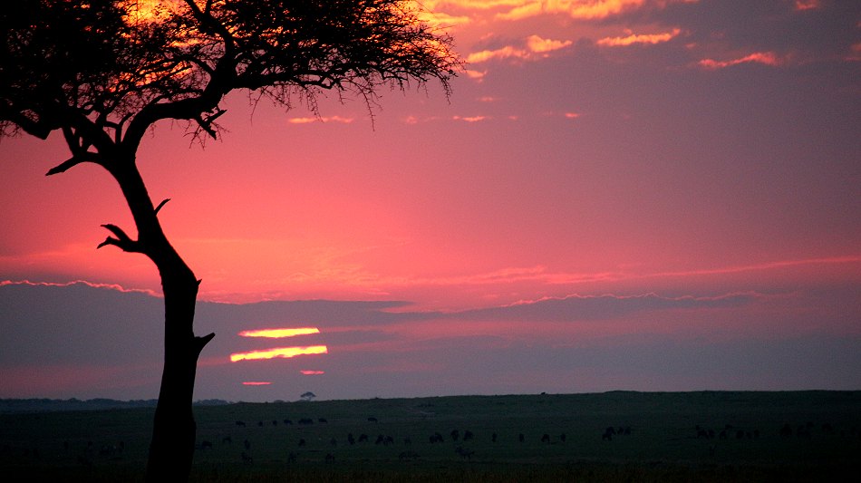 Masai Mara Sonnenaufgang 