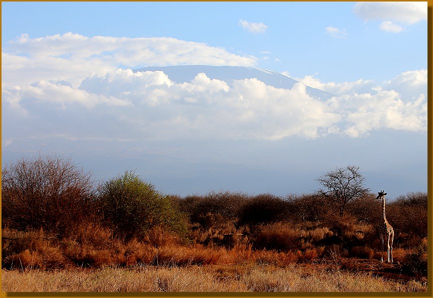 Ausblick vom Amboseli Bush Camp auf den Mount Kilimanjaro