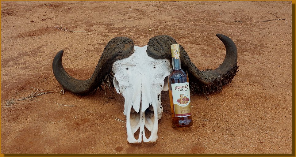 Safari im Lumo Conservancy