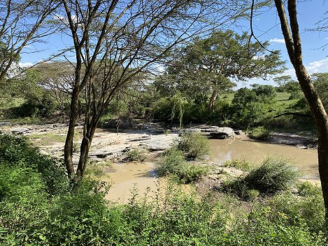 Aruba Mara Camp - Talek - Masai Mara