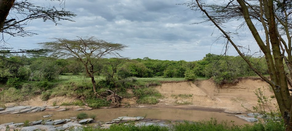 Aruba Mara Camp
