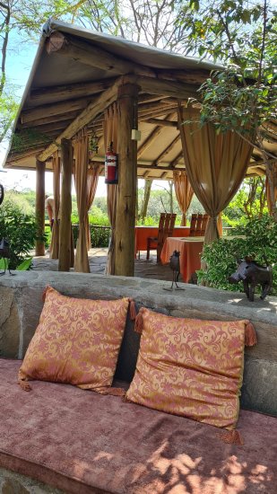 Aruba Mara Camp - Talek - Masai Mara