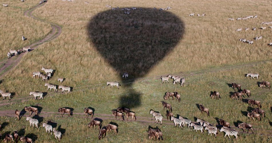 Die Mara von oben aus dem Heißluftballon