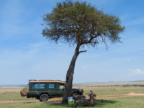Buschfrühstück in der Masai Mara