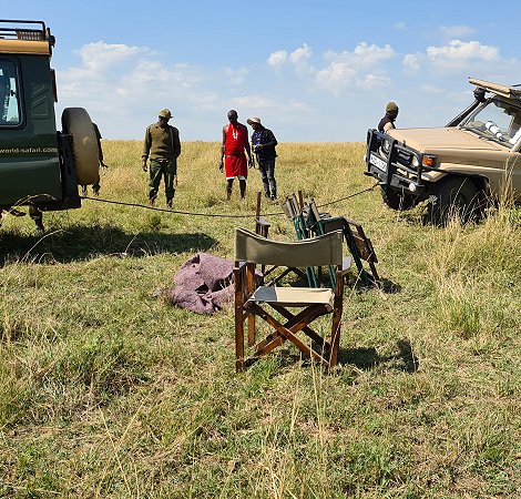 Land Cruiser im Warzenschweinbau eingebrochen