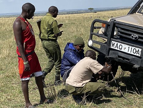 Land Cruiser im Warzenschweinbau eingebrochen