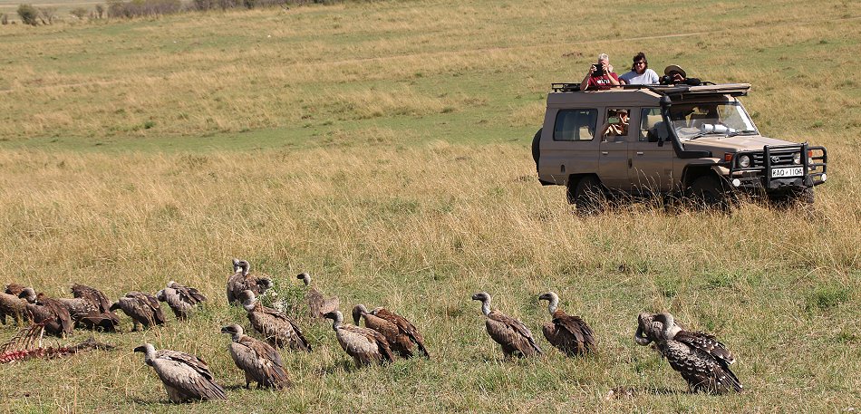 Kiwara Safaris on Tour