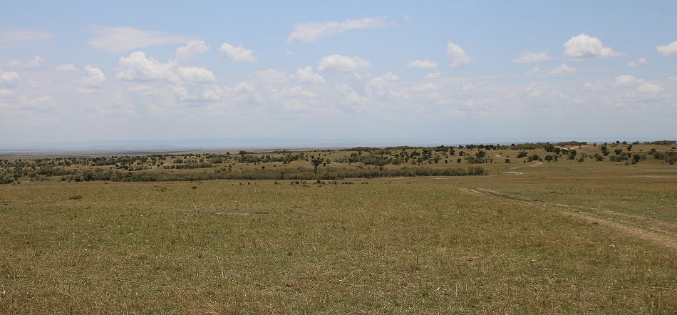 Masai Mara September 2022