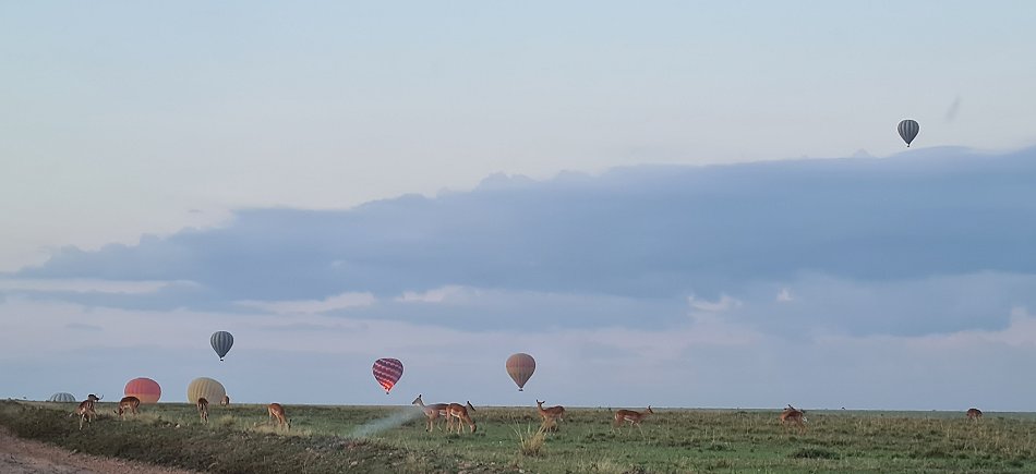 Ballon über der Masai Mara