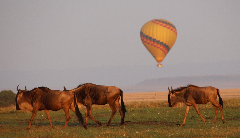 Ballon Adventure, Masai Mara