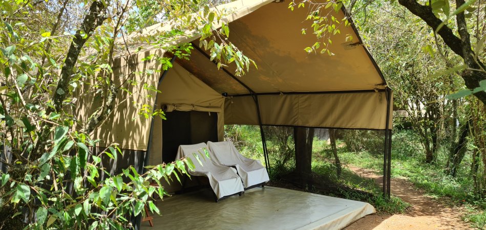 Mara Bush Camp - Ol Are Orok - Masai Mara