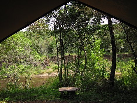 Mara Bush Camp - Bush Wing - Ol Are Orok - Masai Mara