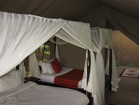 Mara Bush Camp - Bush Wing - Ol Are Orok - Masai Mara