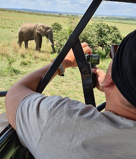 Elefant in der Masai Mara